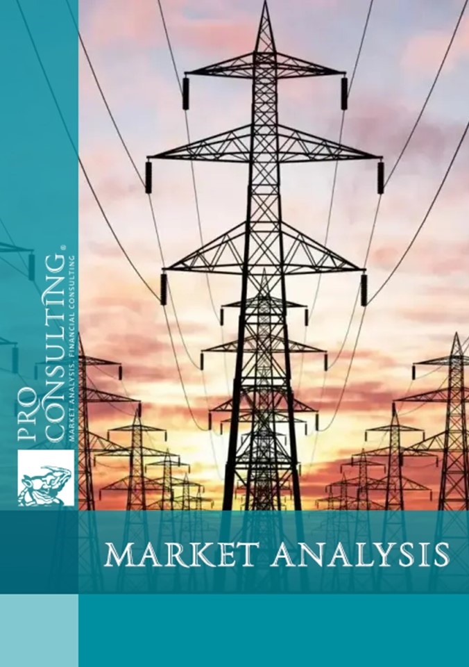 Market research report on electricity in Ukraine. 2024 year